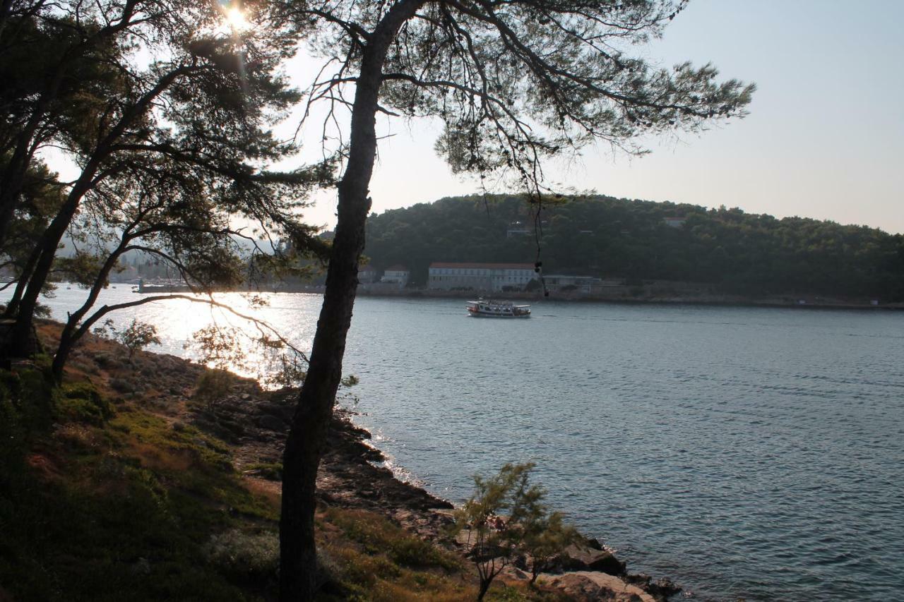 Covahouse Apartman Jelsa  Kültér fotó